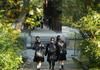 NATIONAL WALK SAFELY TO SCHOOL DAY Banner Photo