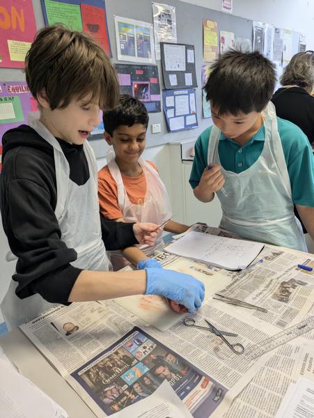 Year 8 Science Banner Photo
