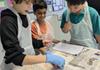 Year 8 Science Banner Photo