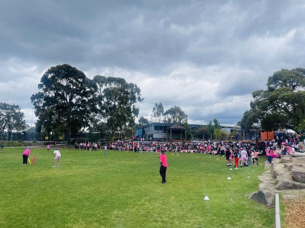Pink Stumps Day Banner Photo