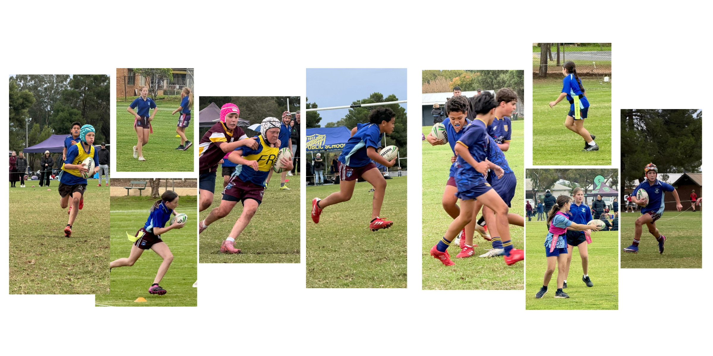 Banner Photo