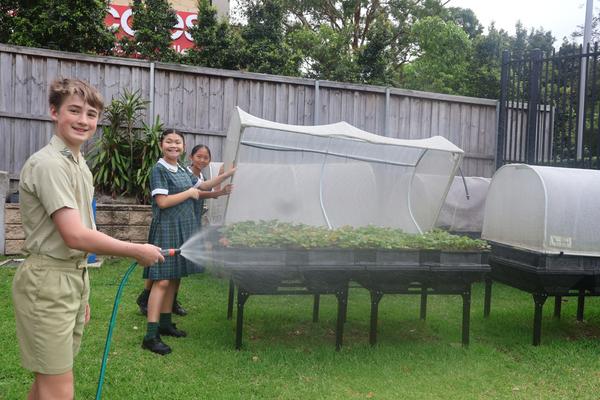 Principal's Message Banner Photo