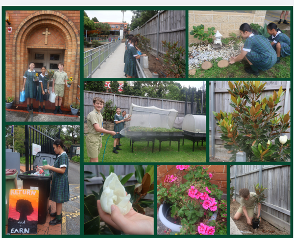 Principal's Message Banner Photo