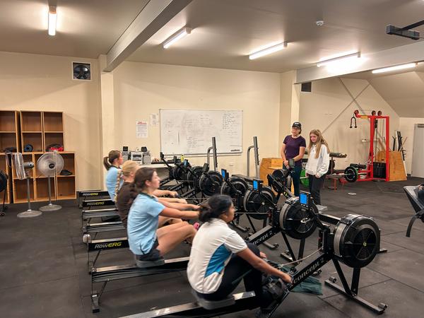 News from the Rowing Sheds Banner Photo