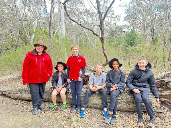 Upper Primary Learning Banner Photo