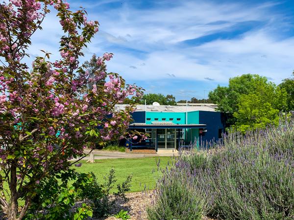 School News Banner Photo