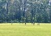 PE & Sport Banner Photo
