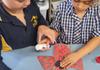 What's Happening in the Junior School Banner Photo