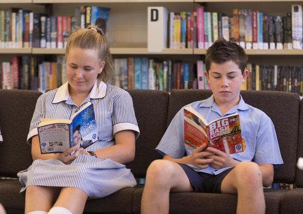 Library Banner Photo