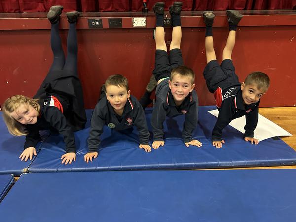 Engagement  Banner Photo