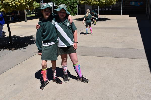 Principal's Panorama Banner Photo