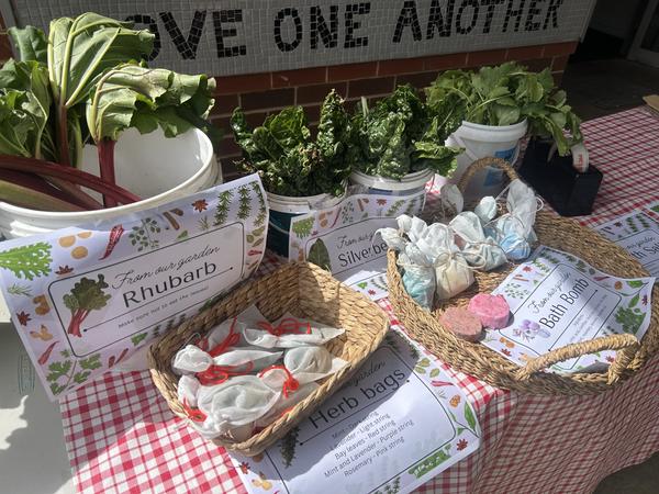 Outdoor Education Banner Photo