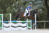 State Championship Criteria and Exciting Opportunities for Riders Banner Photo
