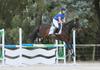 State Championship Criteria and Exciting Opportunities for Riders Banner Photo