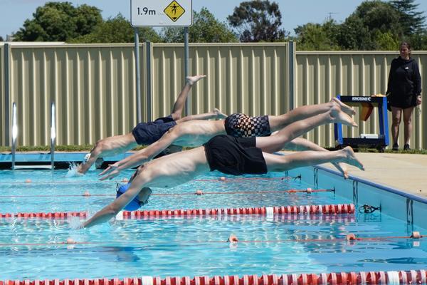 BSC Swimming Carnival Banner Photo