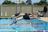 BSC Swimming Carnival Banner Photo
