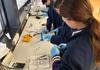 Year 12 Chemistry Banner Photo