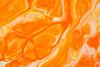 1/2 NEWS Banner Photo