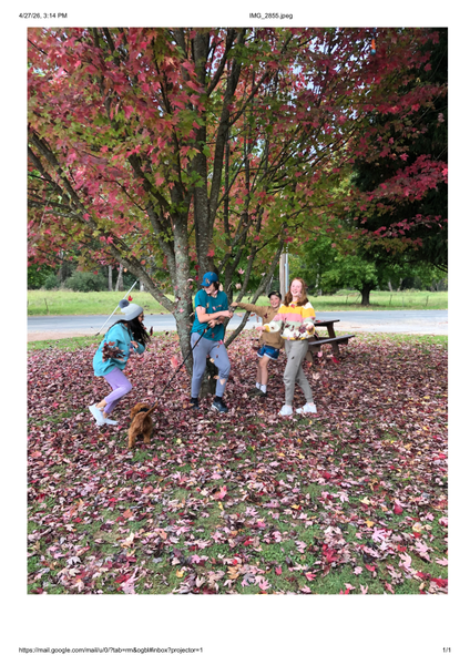 Wellbeing Banner Photo