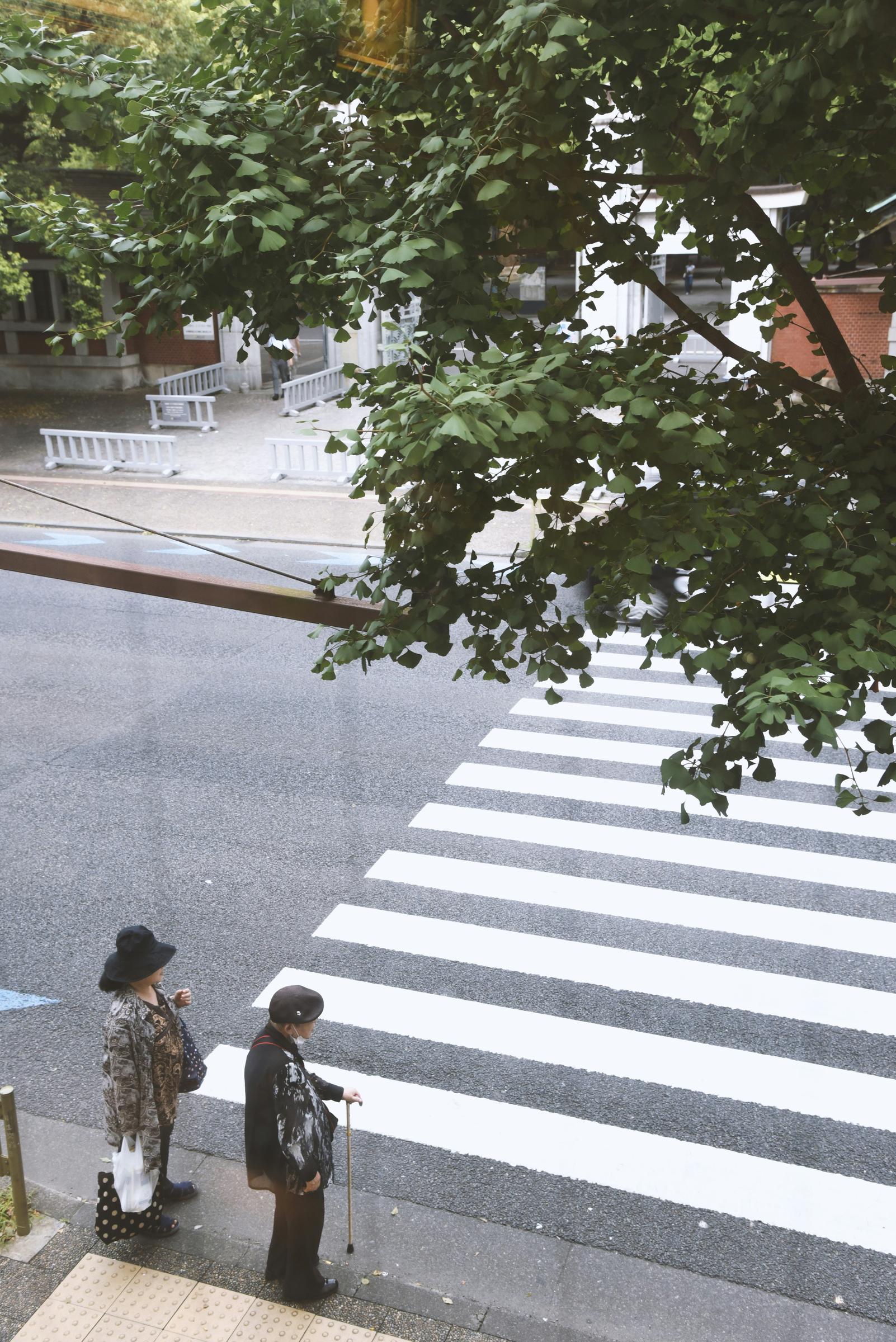 Banner Photo