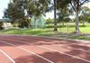 Sport and P.E. Banner Photo