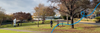 Volunteer Opportunities Banner Photo