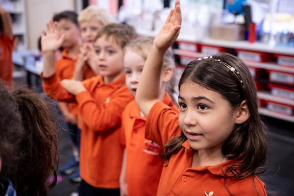 Years 1 & 2 Banner Photo