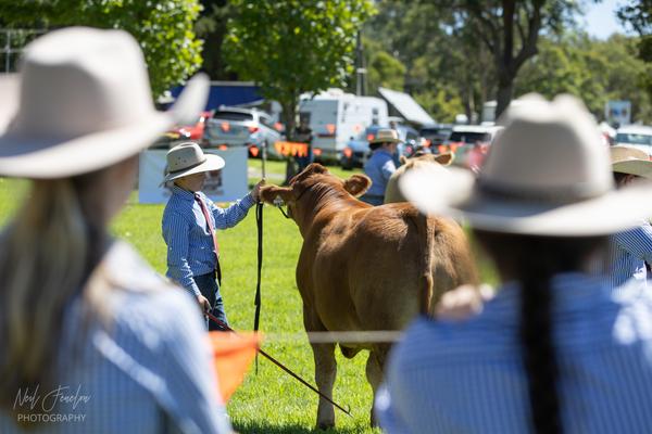 Extracurricular  Banner Photo