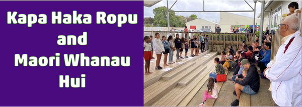 Maori Whanau Hui Banner Photo