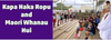 Maori Whanau Hui Banner Photo