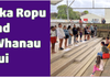 Maori Whanau Hui Banner Photo