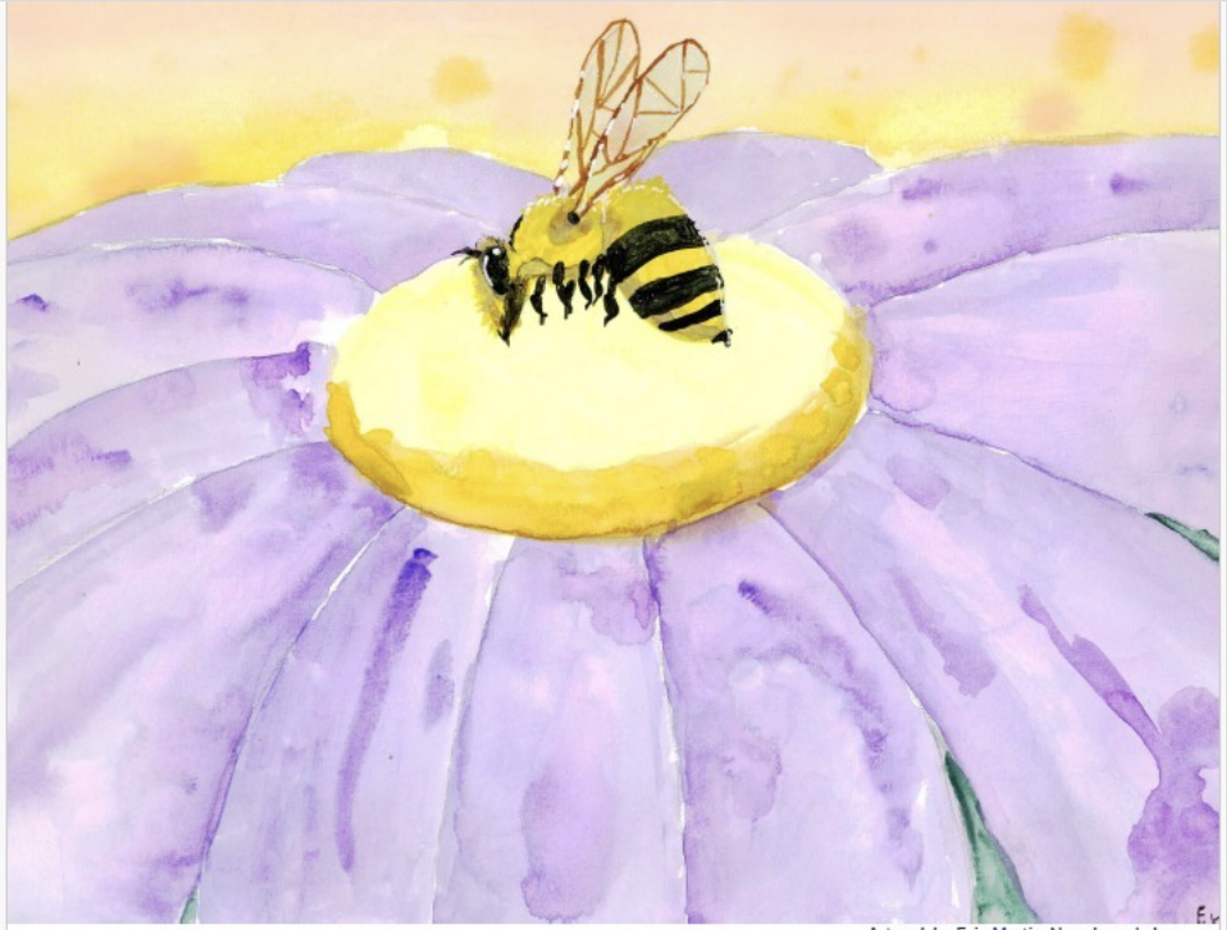 Regional Spelling Bee Banner Photo