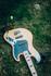 MPPS Music on the Green Banner Photo