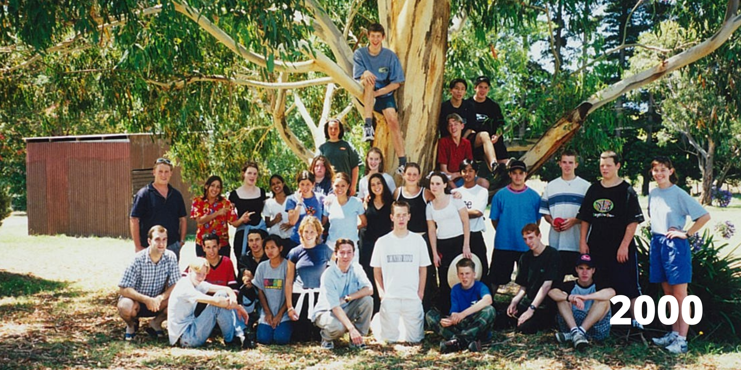 Banner Photo