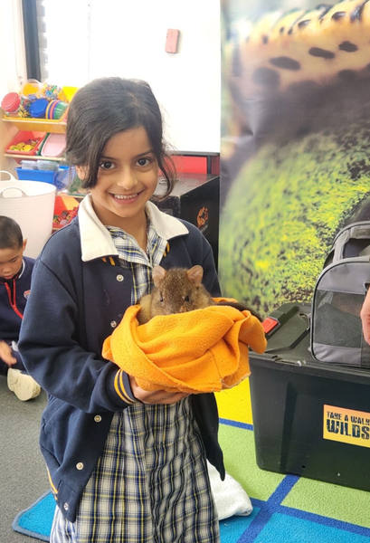 Prep- FUN DAY! Banner Photo