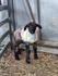 Agriculture Banner Photo