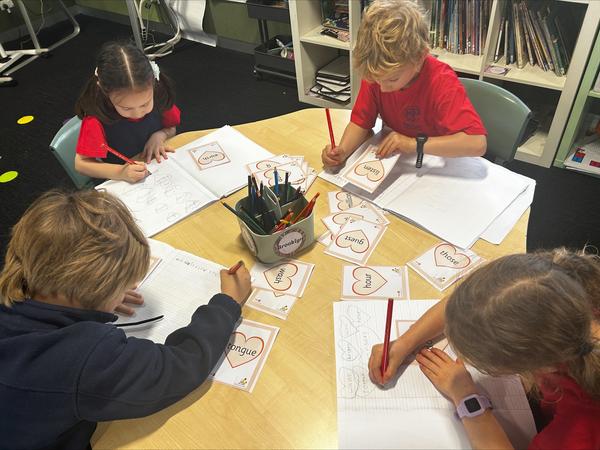 Year 1 Spotlight Banner Photo