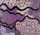 NAIDOC WEEK Banner Photo