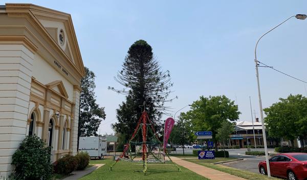 Community Notices Banner Photo