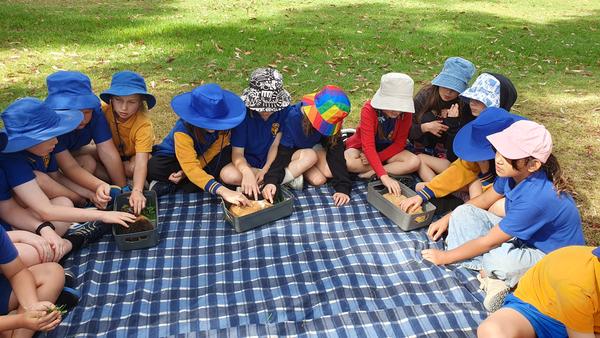 Year 3/4 News Banner Photo