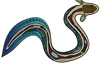 NAIDOC WEEK Banner Photo