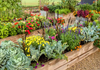 Environment Banner Photo