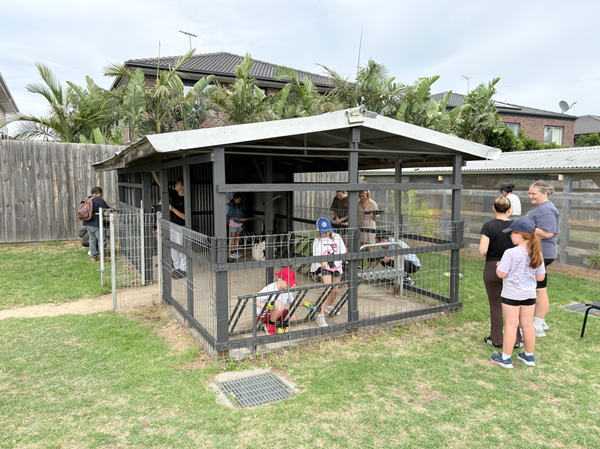 Assistant Principal's Page Banner Photo