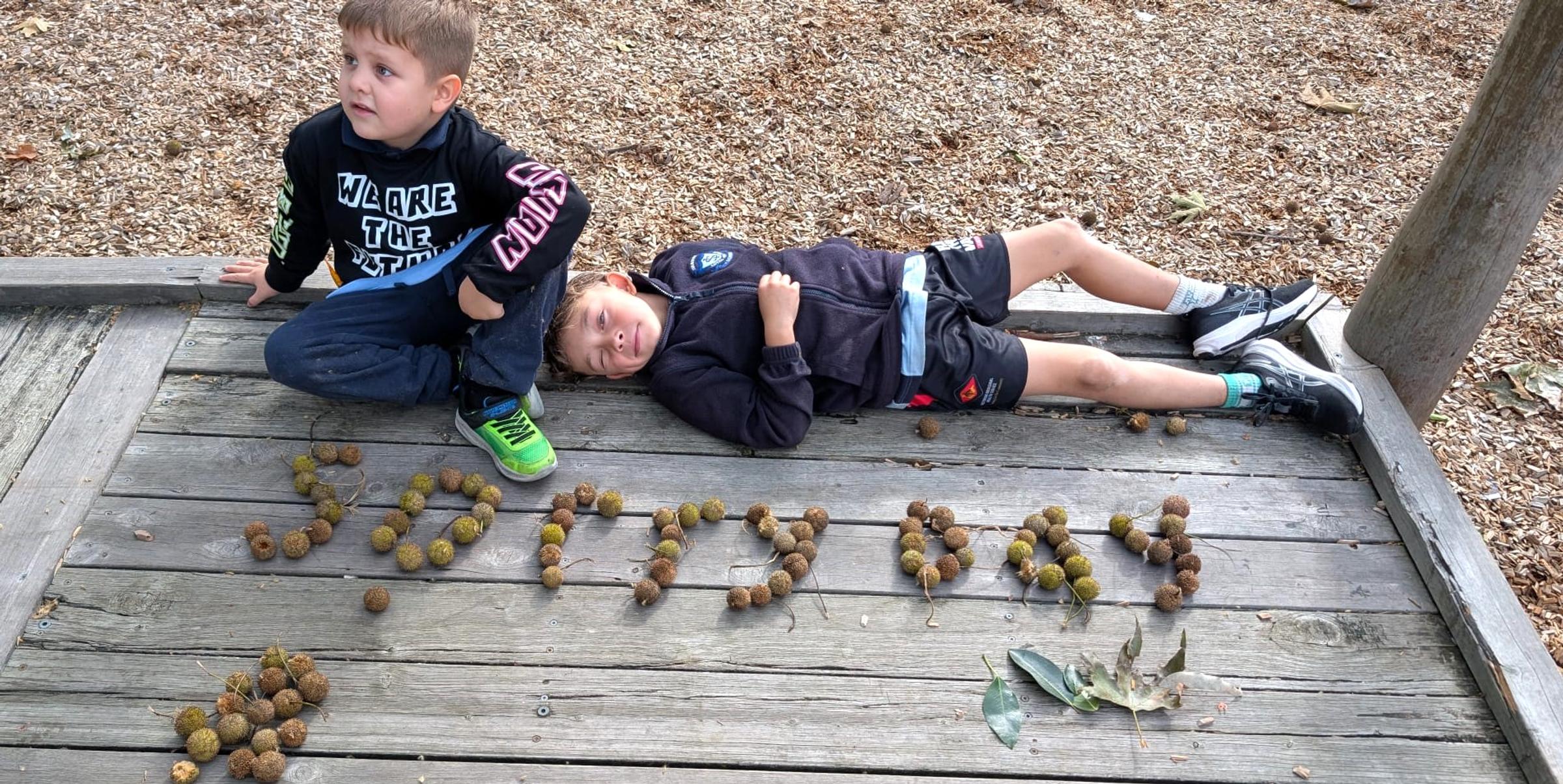 Banner Photo