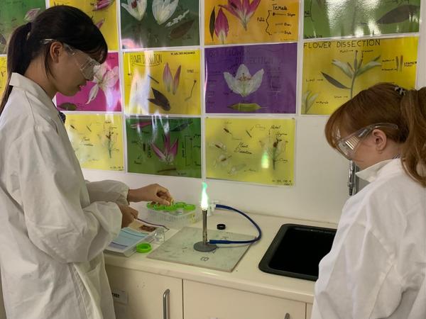 Secondary Science Banner Photo