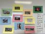 Spotlight on Learning -Waratah 1 & 2 Banner Photo