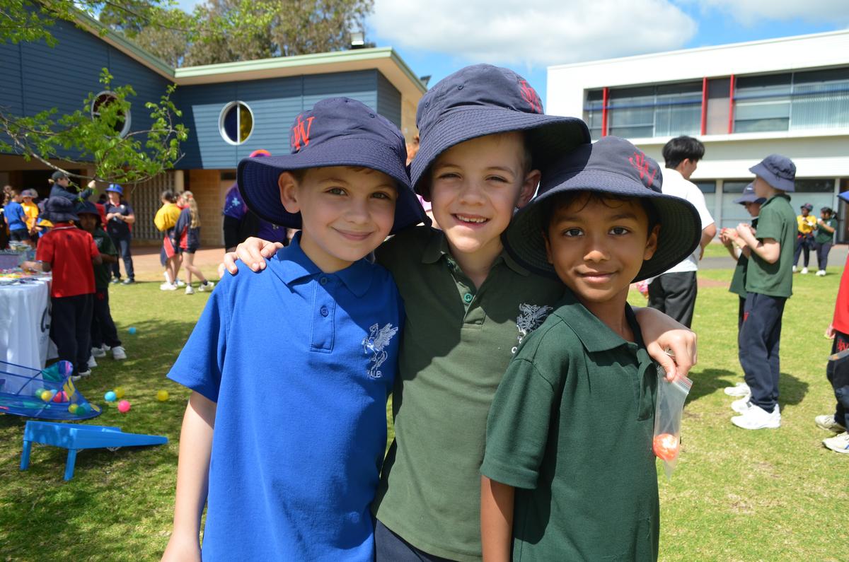 Wollaston's Wrap Issue 16