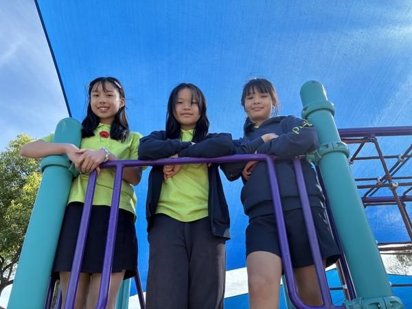 Year 5/6 Learning Update Banner Photo