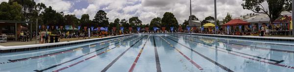 Swimming Carnival Banner Photo