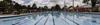Swimming Carnival Banner Photo